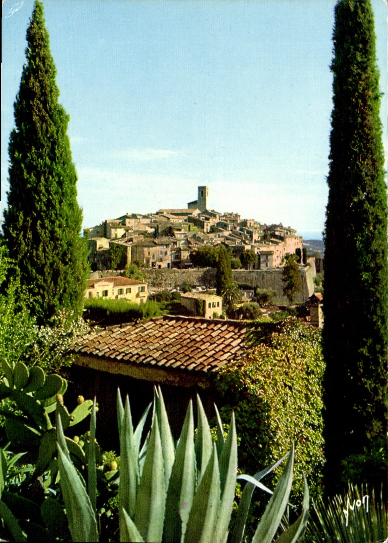 CPM La Cote d'Azur miracle de la nature Saint Paul de Vence Alpes Maritimes 