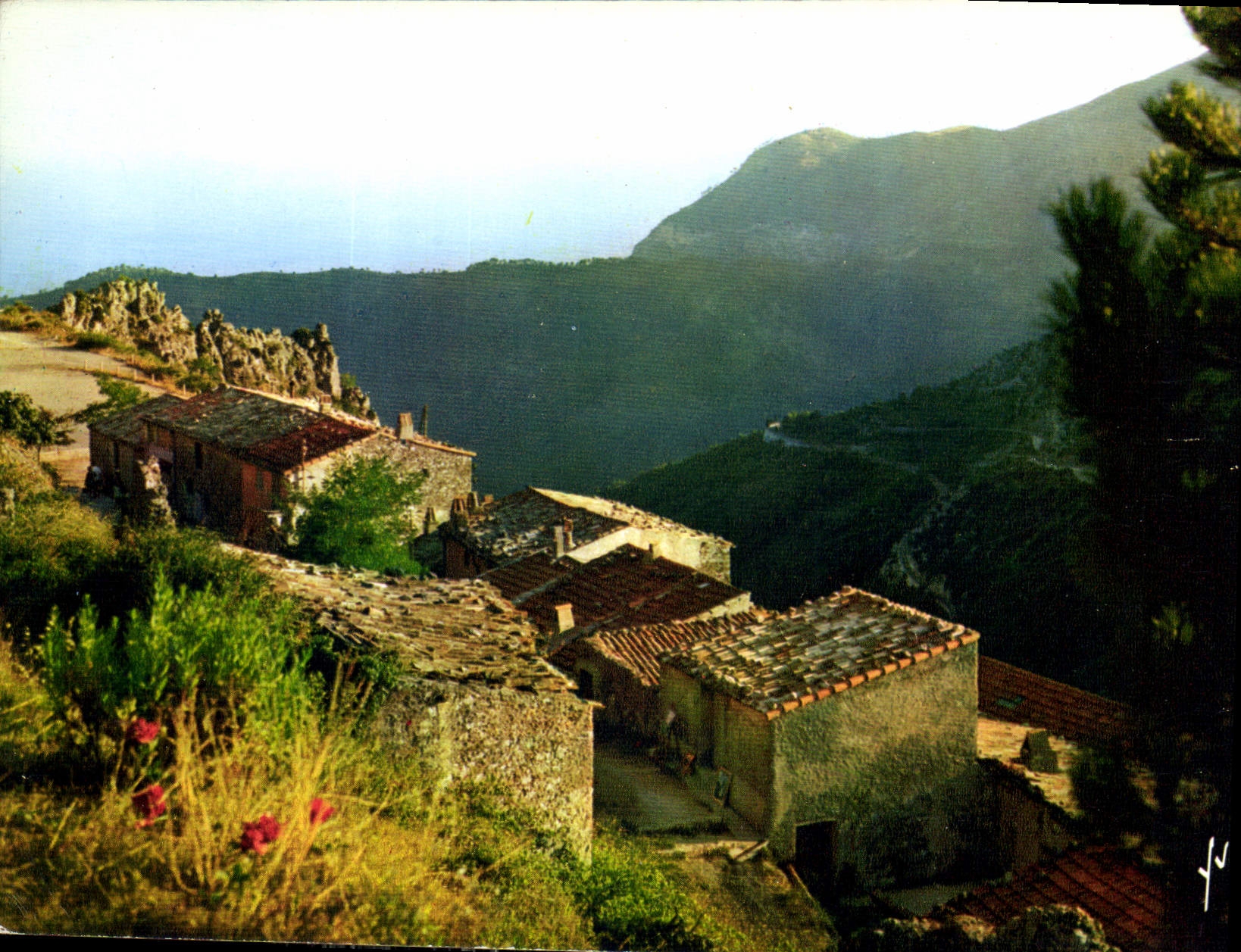 CPM La Cote d'Azur miracle de la nature Sainte Agnes AM 