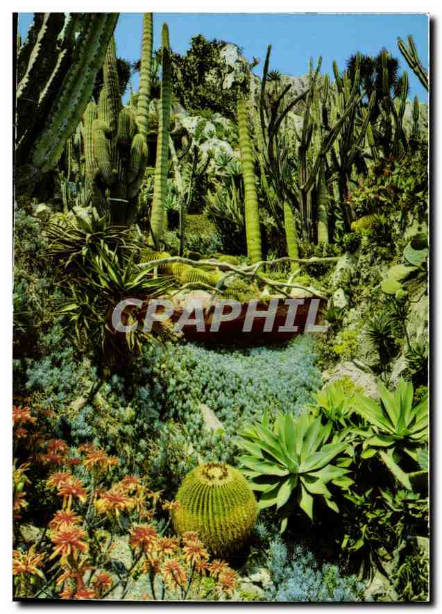Jardin Exotique — Principauté de Monaco — Éditions S.E.P.T. - 35, Boulevard Gorbella