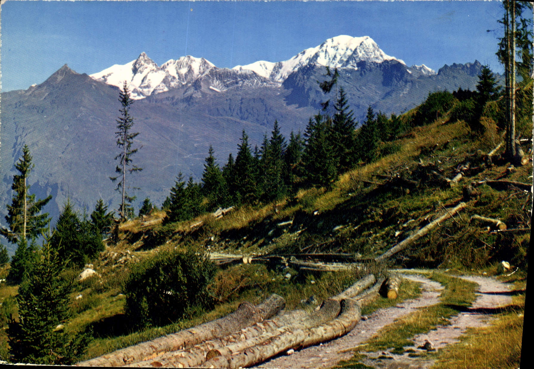Mont Blanc — vue panoramique — éditeur 'Les Alpes Françaises' n° 999.00.0041