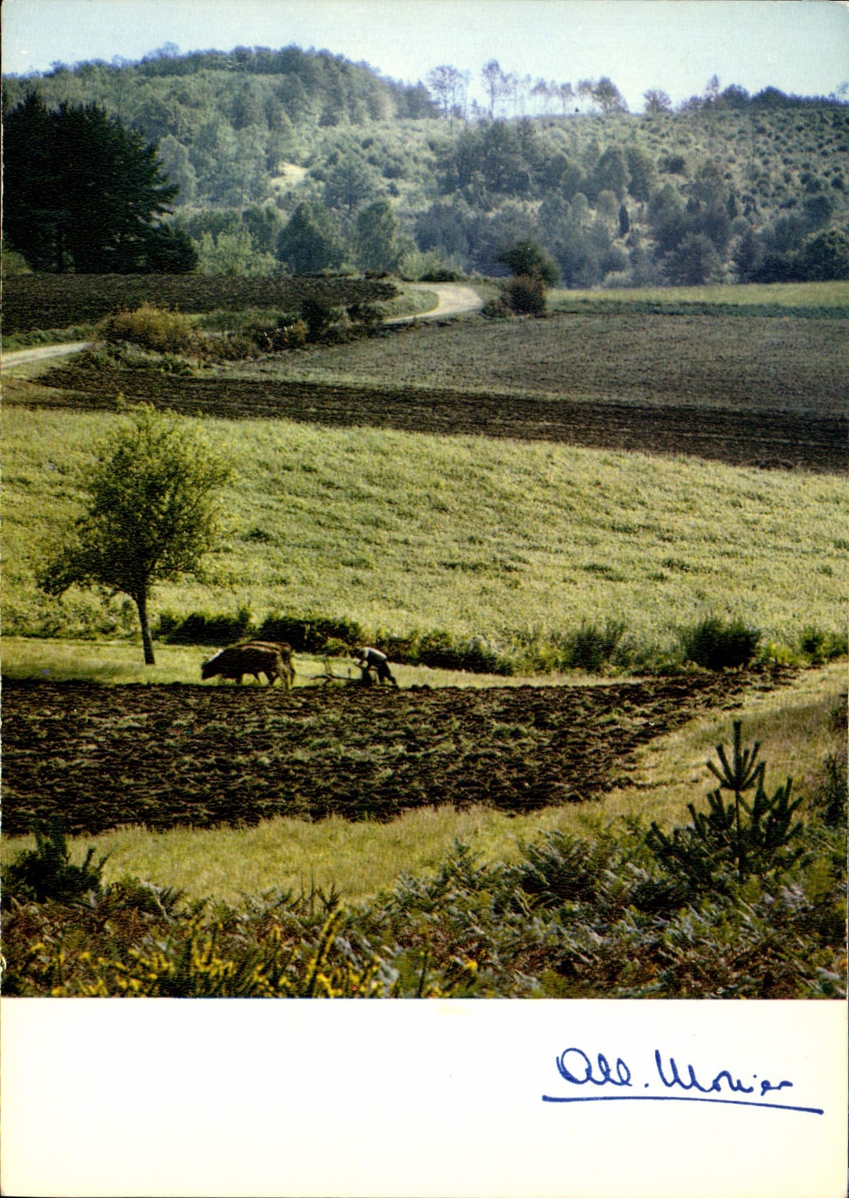 CPM Prestige de la Terre Gestes de toujours Les Labours 