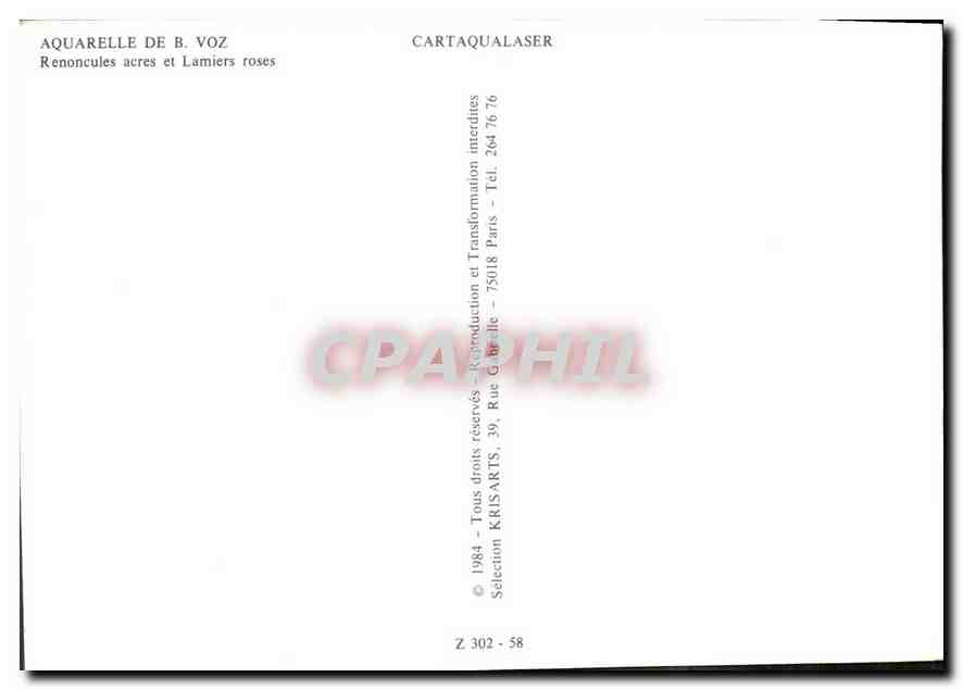 CPM Aquarelle de Voz Renoncules acres et Lamiers roses  — Rückseite
