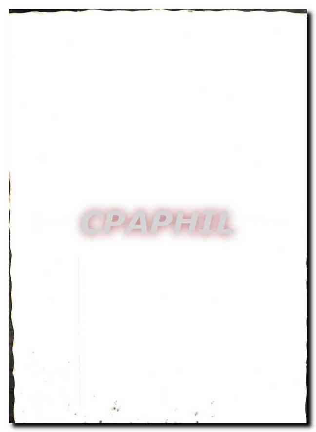 CPM Fleurs papillon — Verso