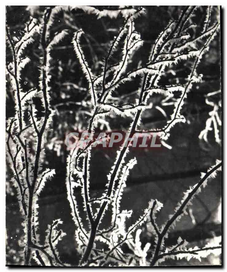 CPM Les Alpes vues par Giet Effets de givre