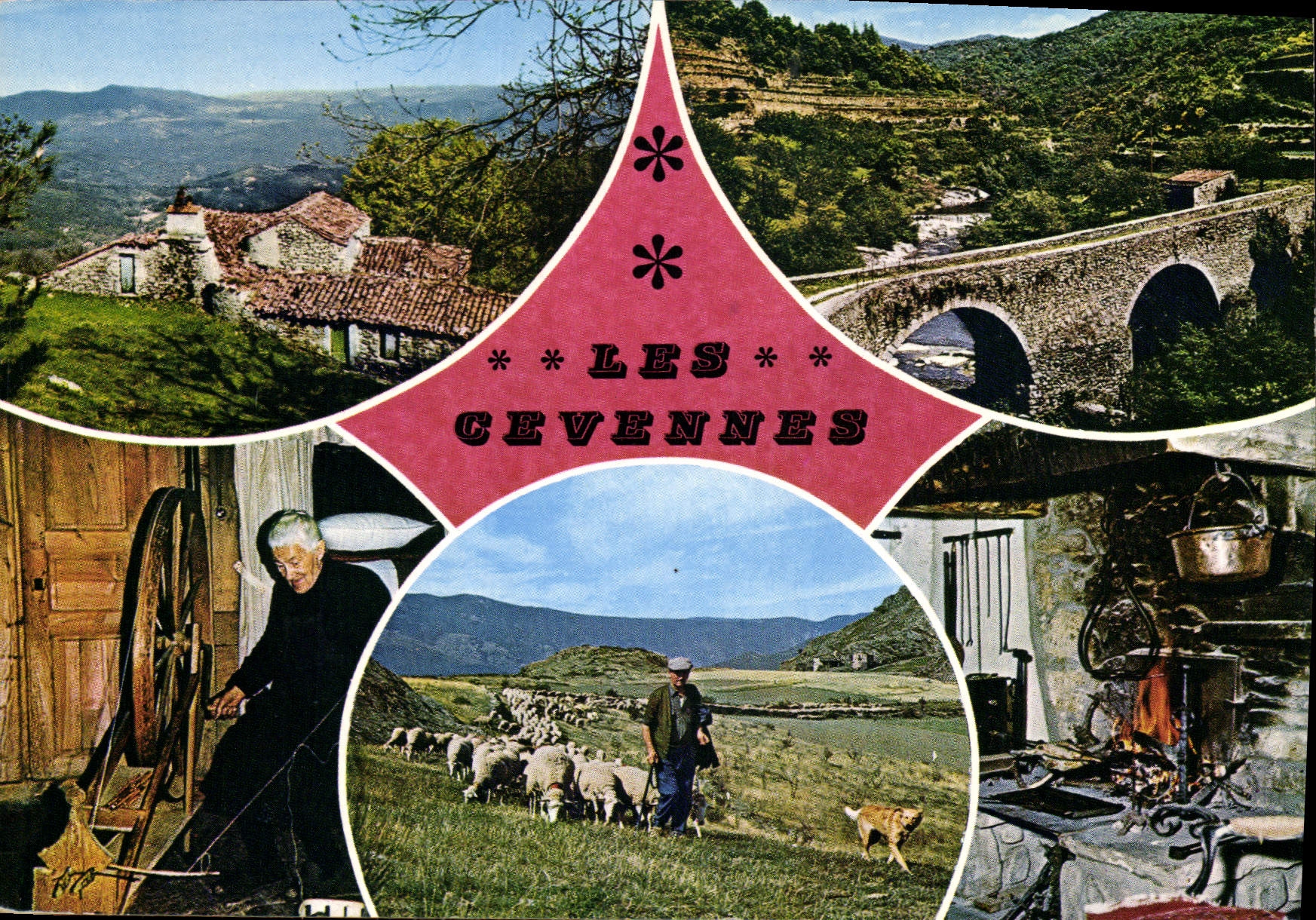 CPM Les Cevennes Touristiques Images de la Vie Cevenole 