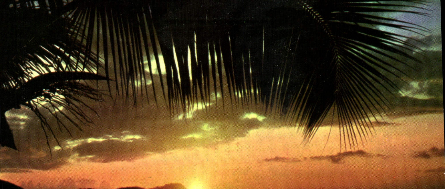 CPM Coucher de soleil 