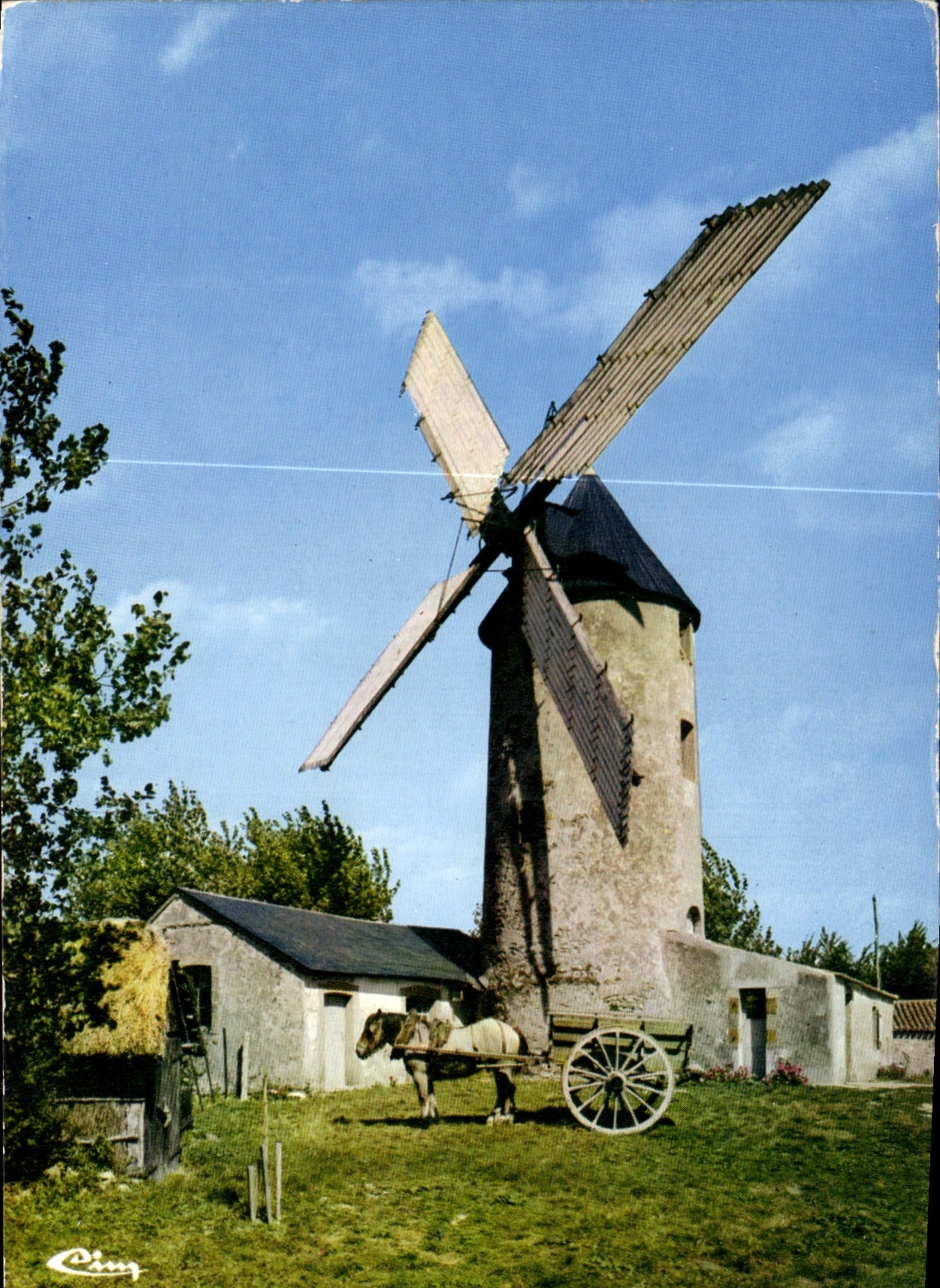 CPA Paysages Vendeens Moulins en Vendee Pres de Sallertaine le moulin de Raire toujours en activite 