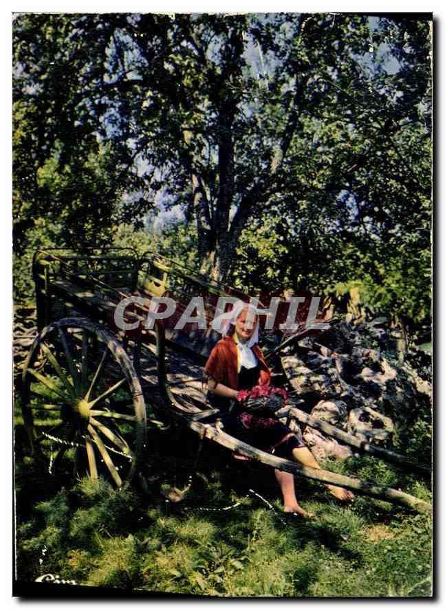 CPA Ma Normandie Costumes et Scenes Champetres 