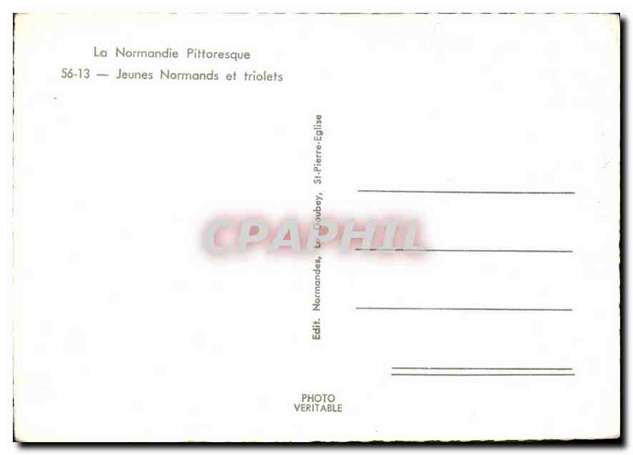 CPM La Normandie Pittoresque Jeunes Normands et Triolets  — Rückseite