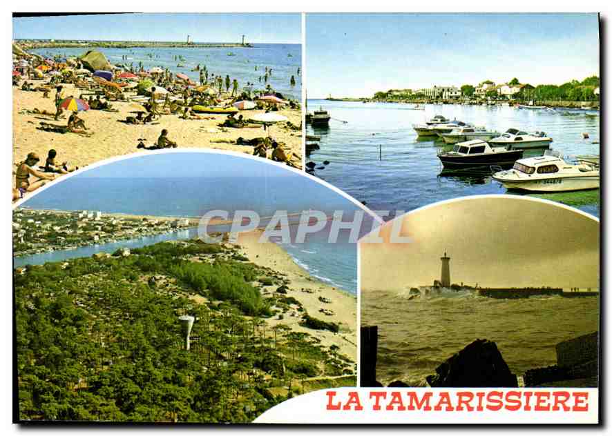 CPM En Parcourant la Cote Mediterraneenne la Tamarissiere Herault 