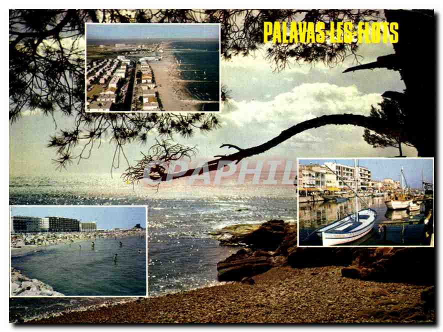 CPM Le Littoral Languedocien Palavas les Flots 