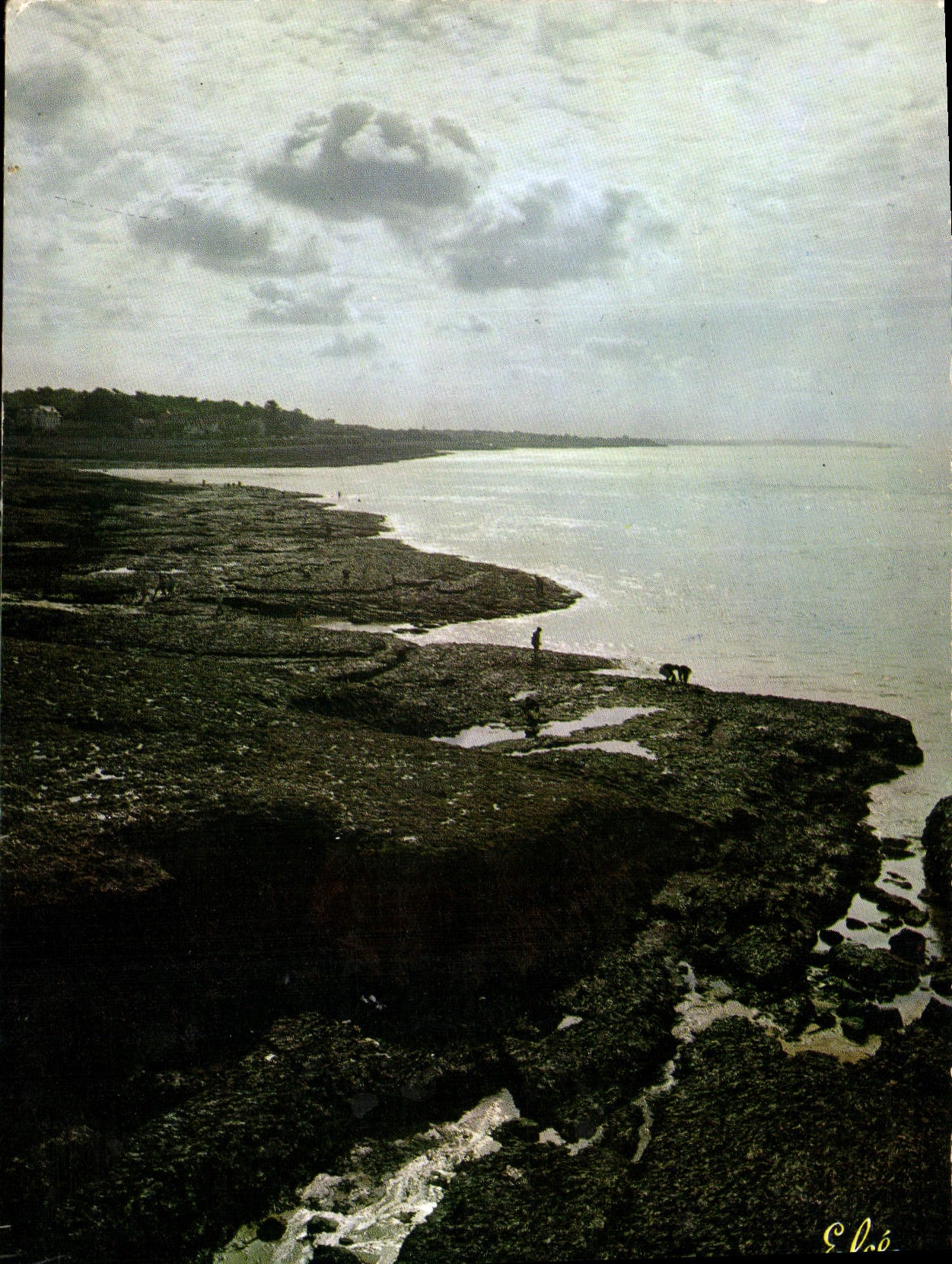 CPM Sur la Cote Sauvage la Peche a maree basse 