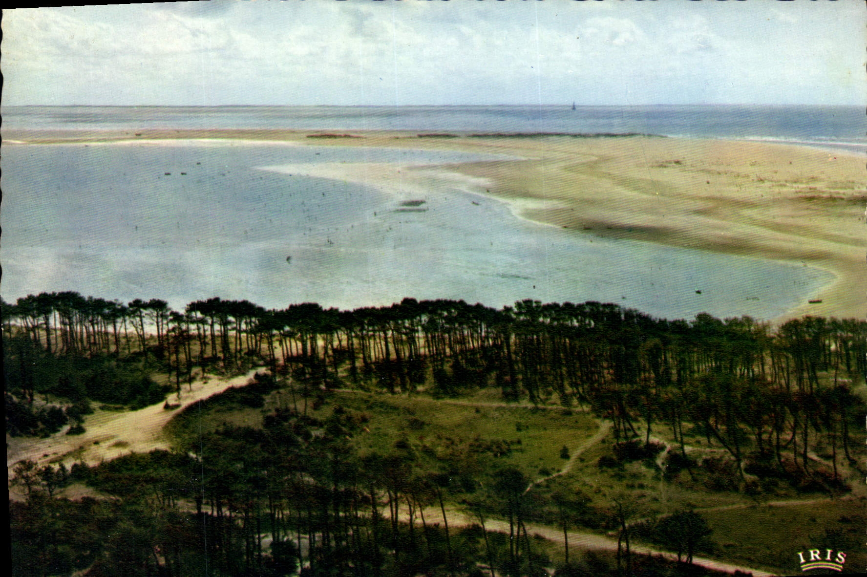 CPM Du haut du Phare de la Coubre la cote Sauvage et la Baie de bonne Anse 
