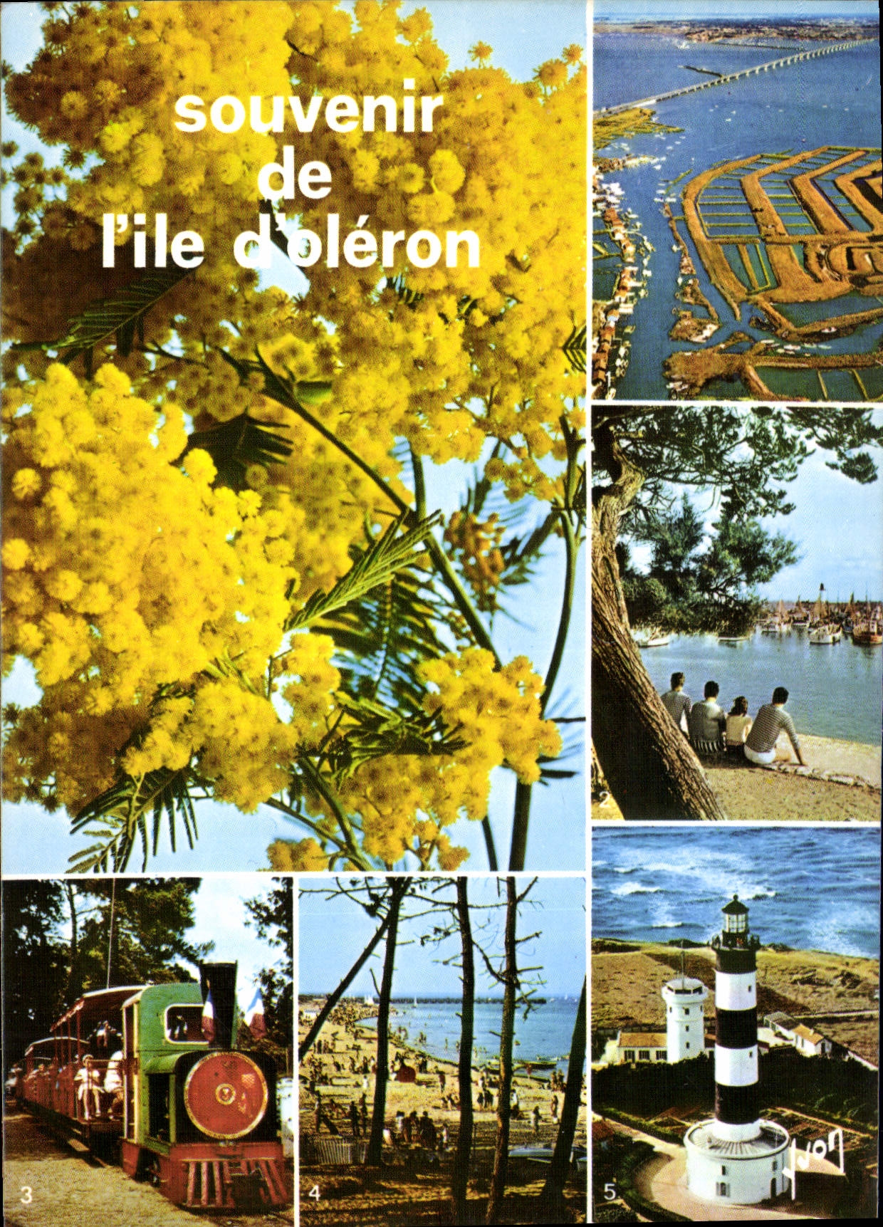 CPM Ile d'Oleron Charente Maritime le Viaduc rellant l'Ile au Continent Port de la cotiniere le Peti
