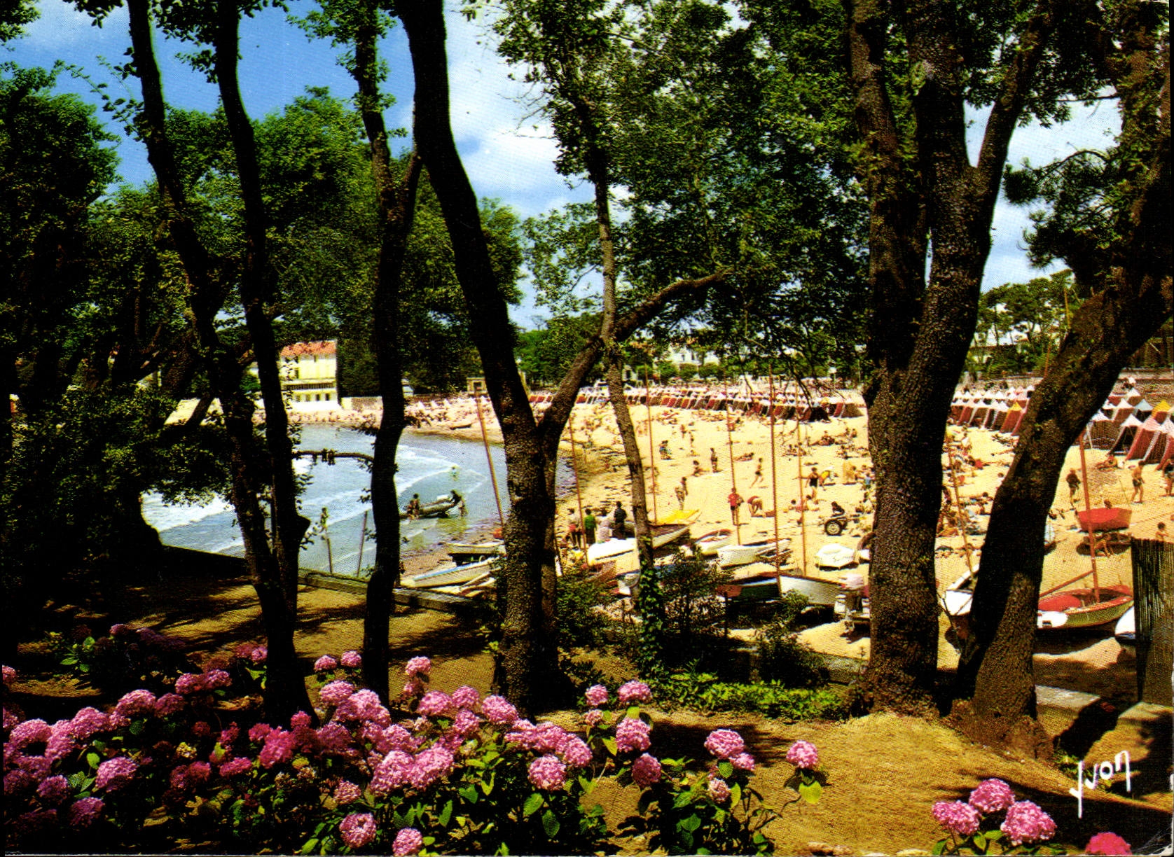 CPM La Cote de Beaute Saint Palais sur mer Charente maritime la Plage 
