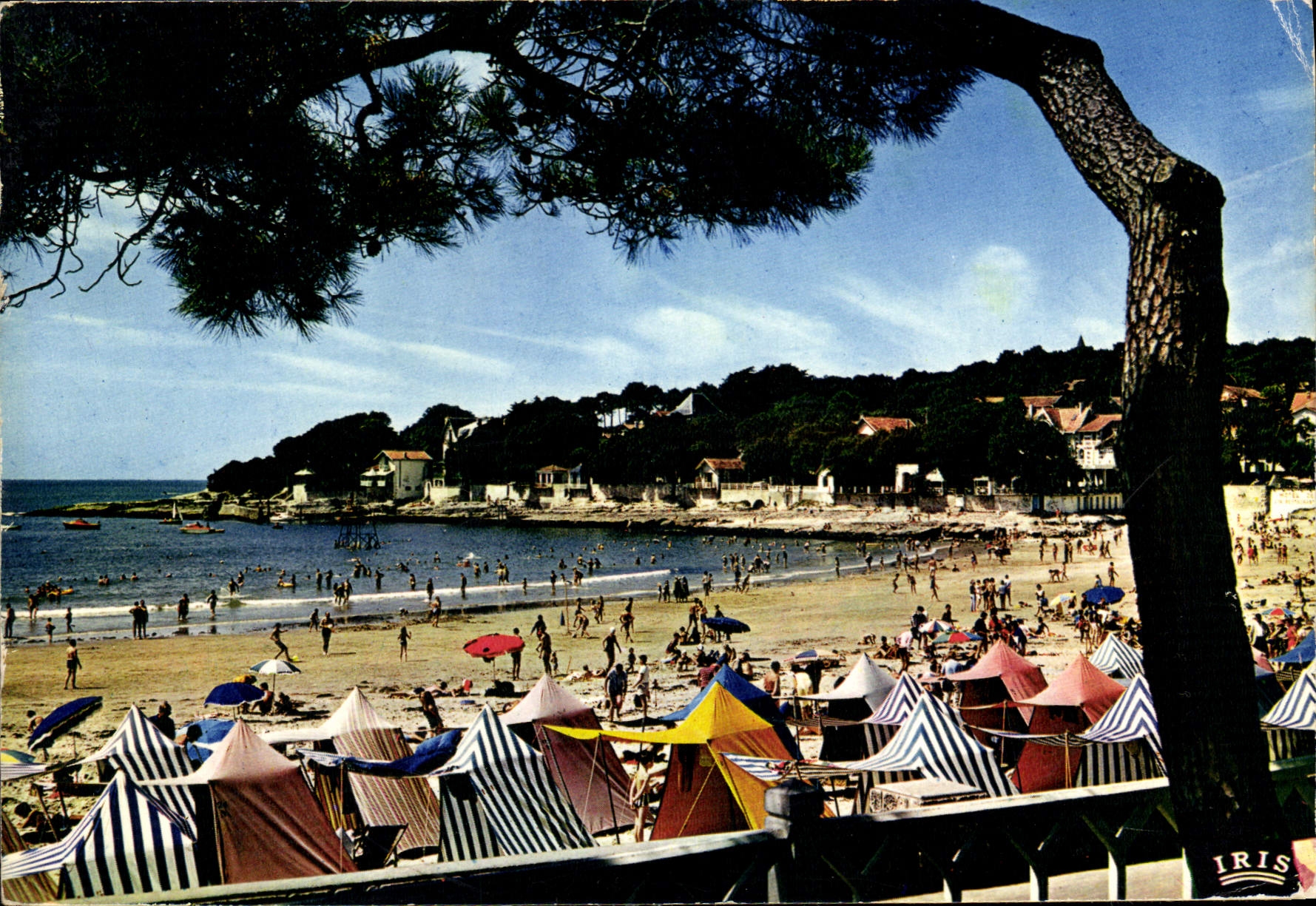 Plage de Saint-Palais-sur-Mer — vue depuis un arbre — éditeur IRIS