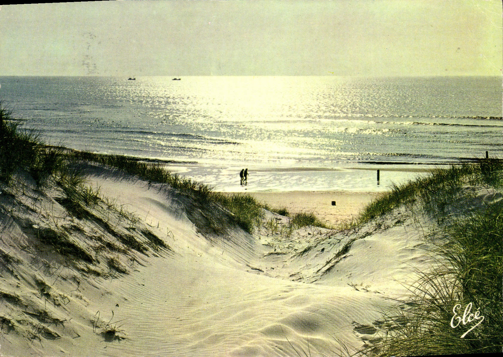 Coucher de soleil sur les dunes — La Flotte, Île de Ré — Éditeur Elcée, n°3924