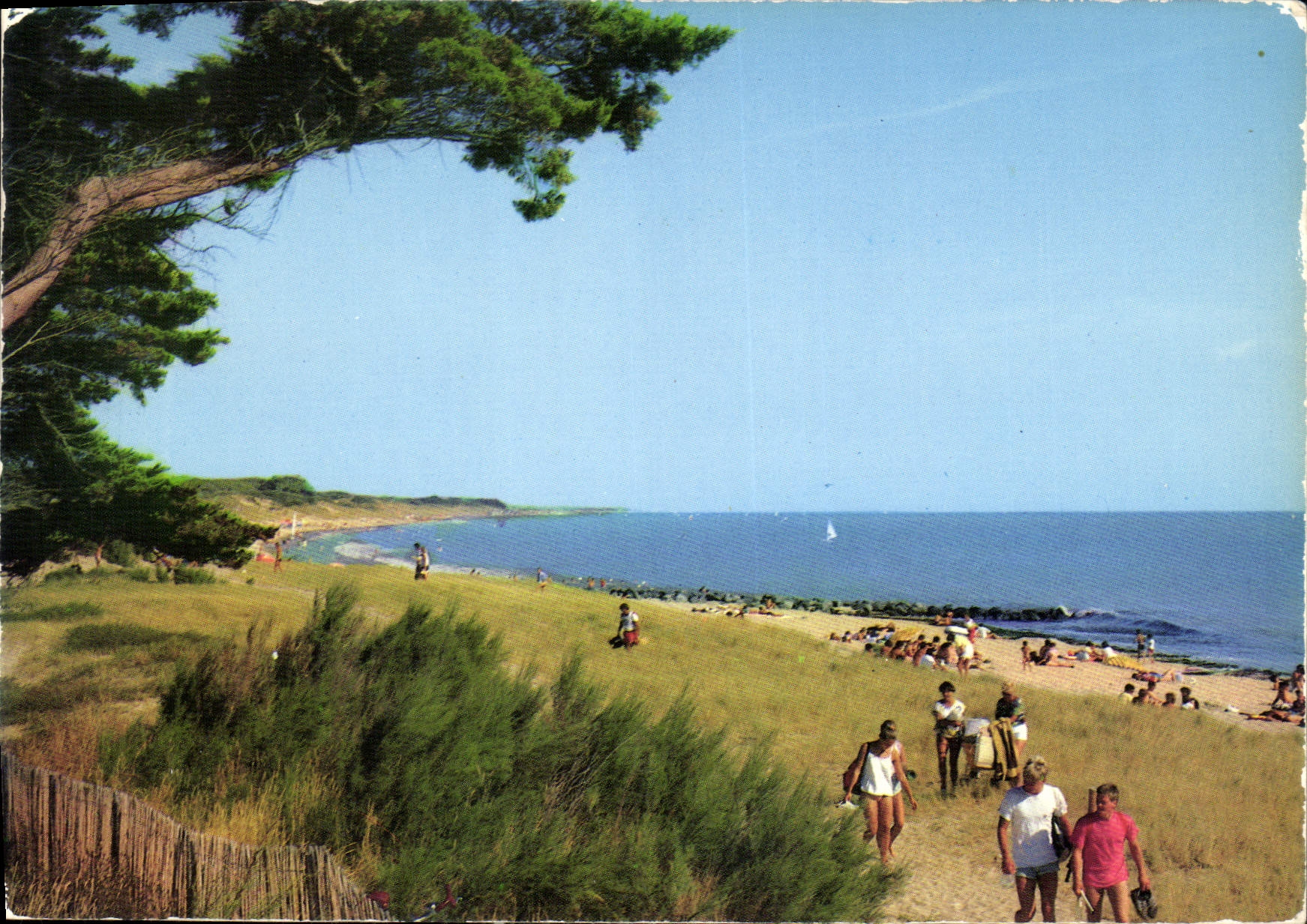 CPM Ile de re la Couard Ch Mme Plage du Boutillon 