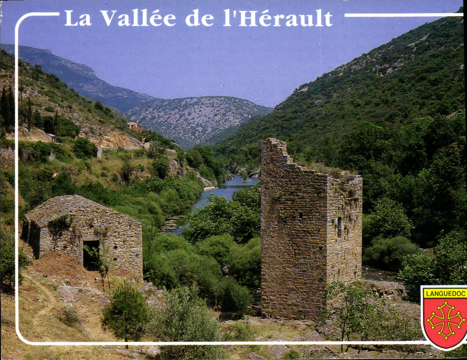 CPM La vallee de l'Herault Vieux Moulin 