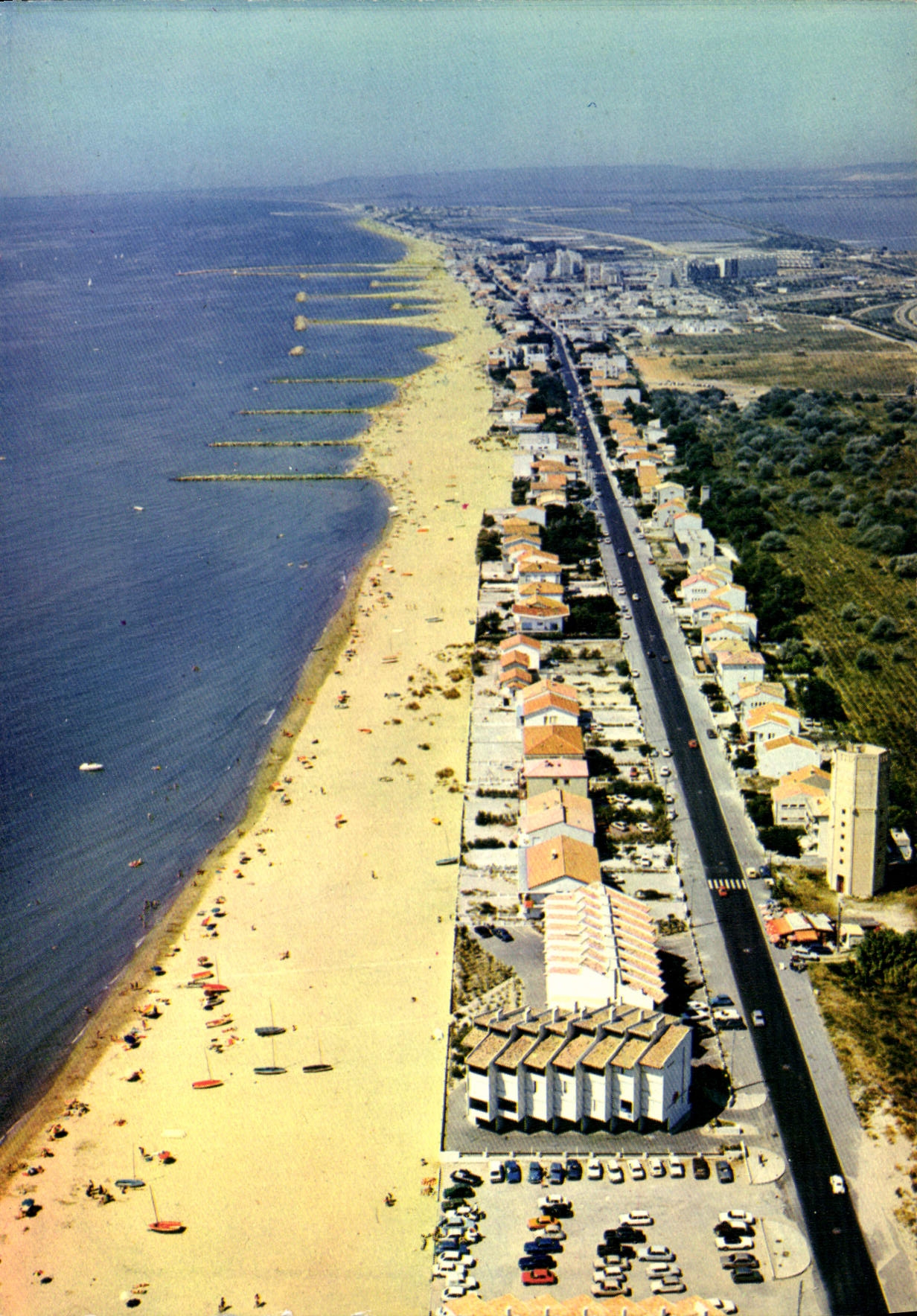 CPM Paysages du Languedoc Carnon Avenue G Sibrian la Plage et le Port 