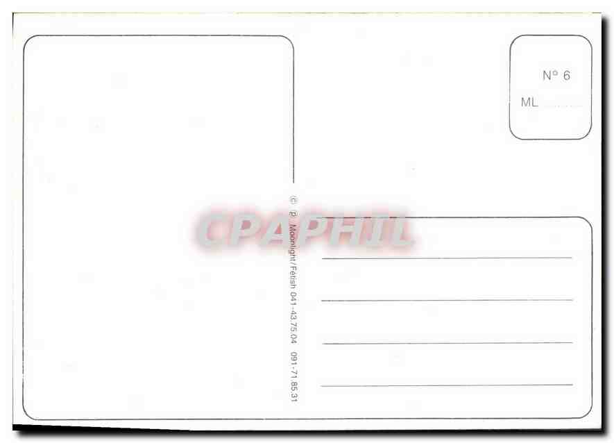 CPM Soldat Militaria Permantier Chien Molosse — Verso