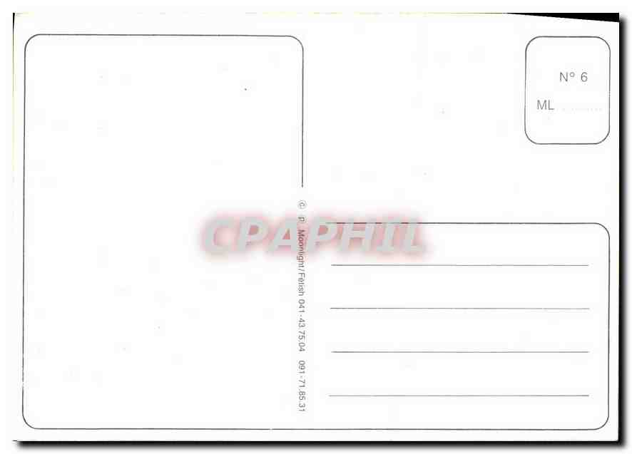 CPM Soldat Militaria Permantier Chien Molosse — Verso