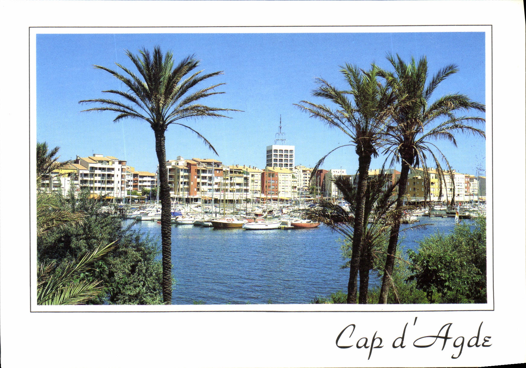 CPM Cap d'Agde Herault un Petit cote Cote d'Azur 