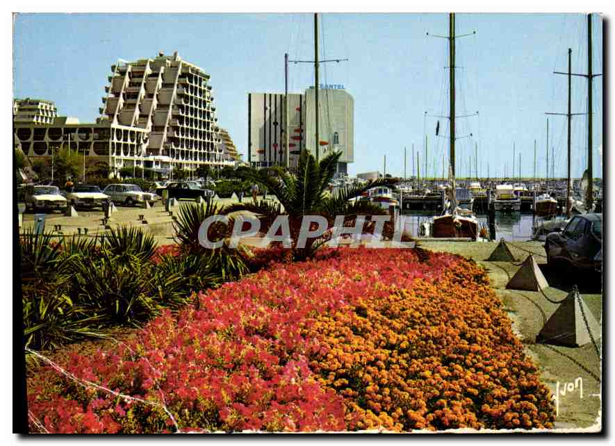 CPM La Grande Motte Herault les Jardins le Port et les Pyramides 