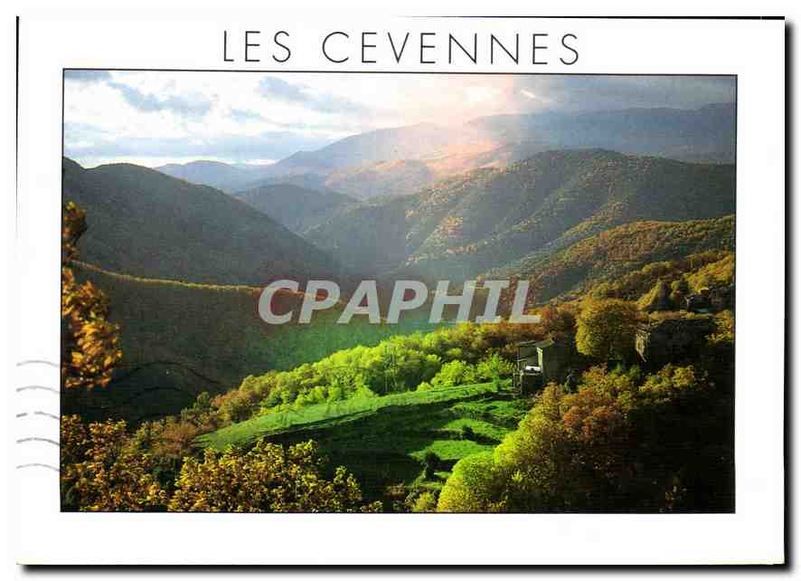 CPM Paysage des Cevennes 