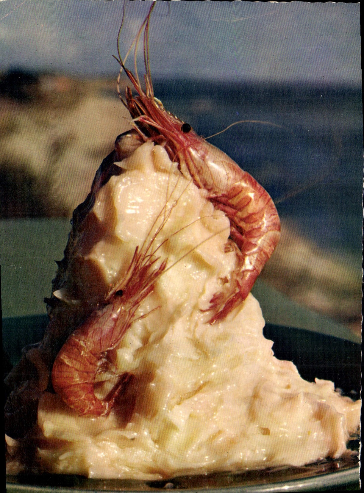 CPA Delices de la mer Les Crevettes 
