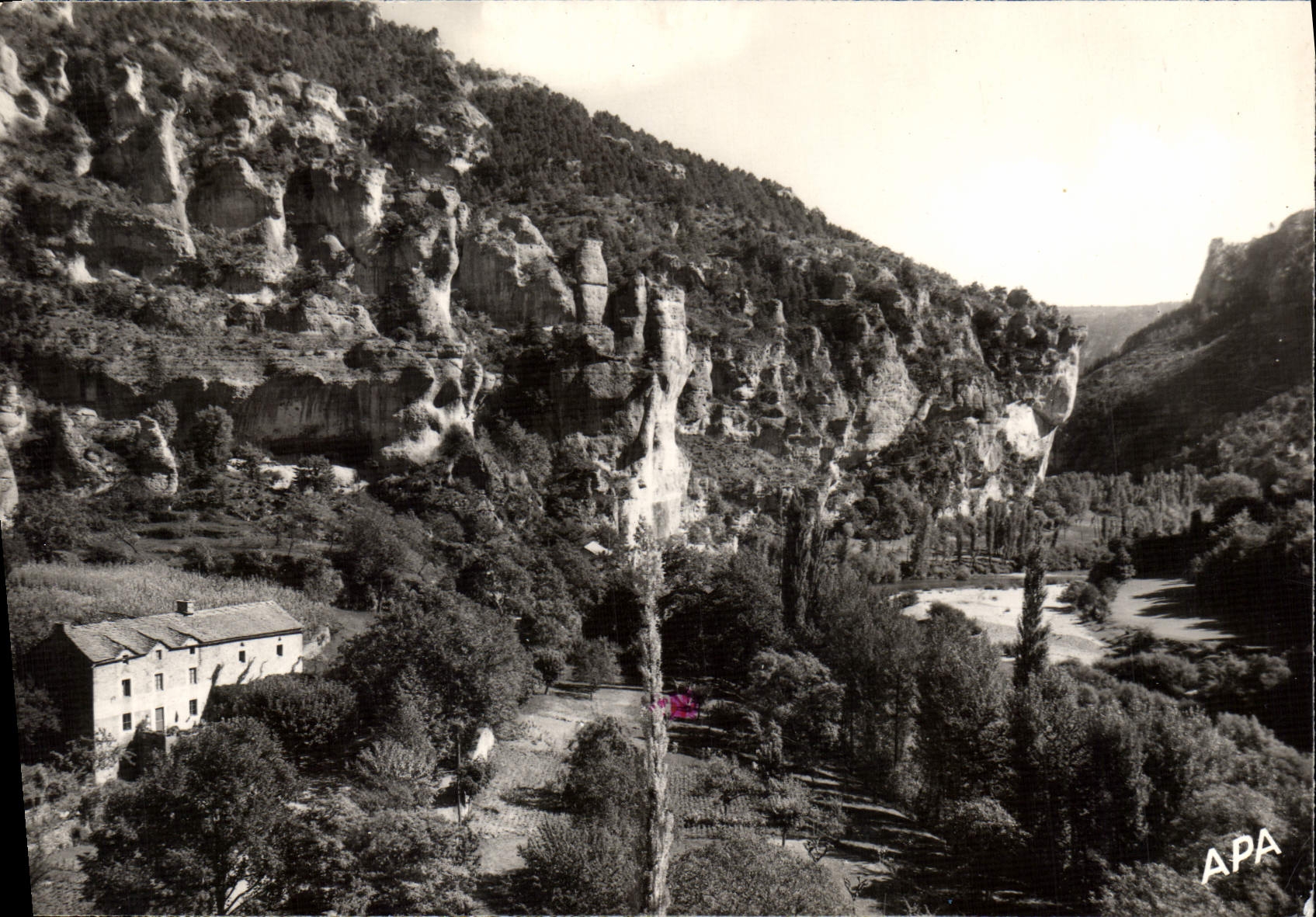 CPA En Parcourant les Gorges du Tarn Le Cirque des Baumes 