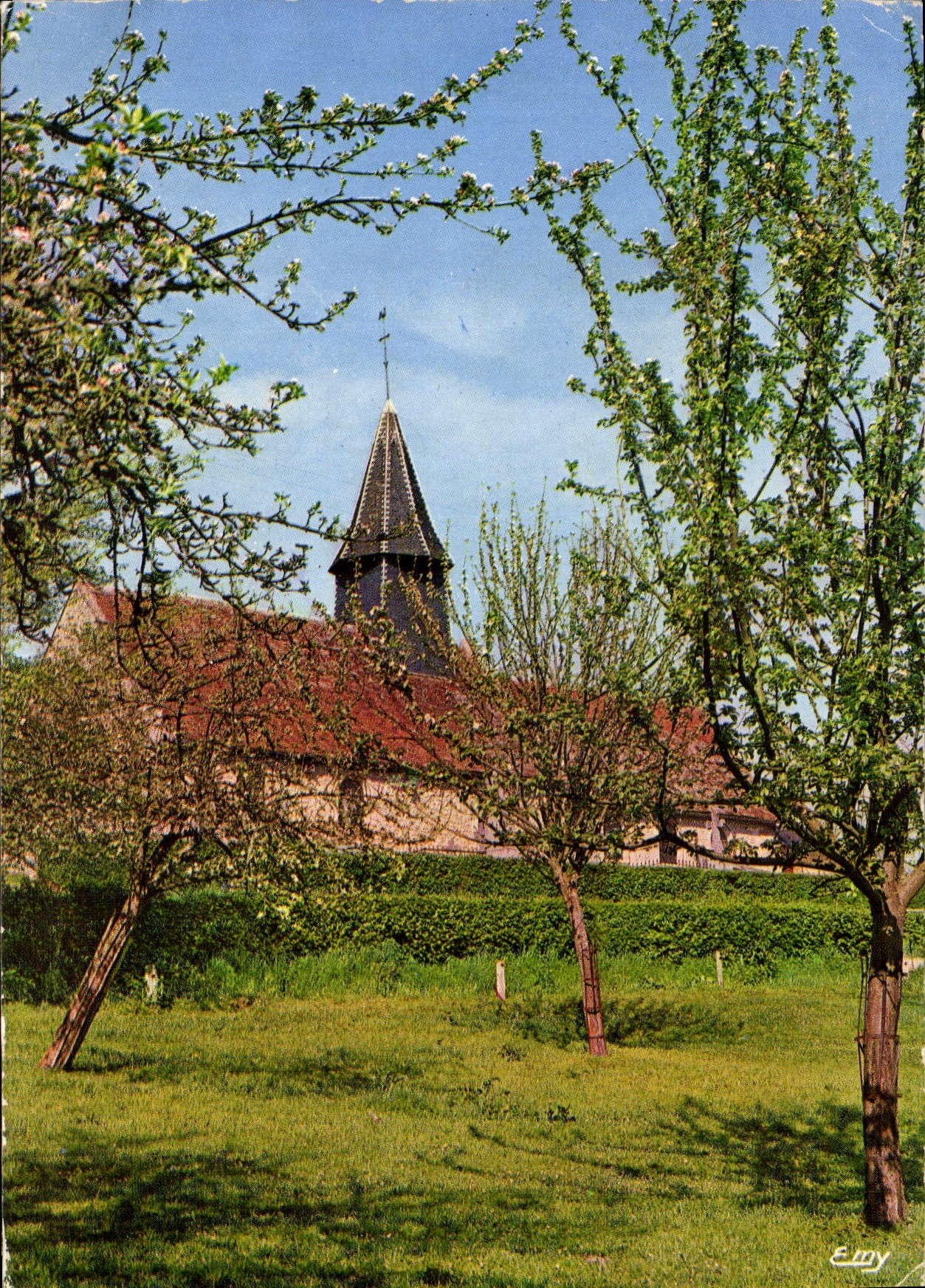 CPM La Normandie pittoresque La petite Eglise dans les pommiers en fleurs 