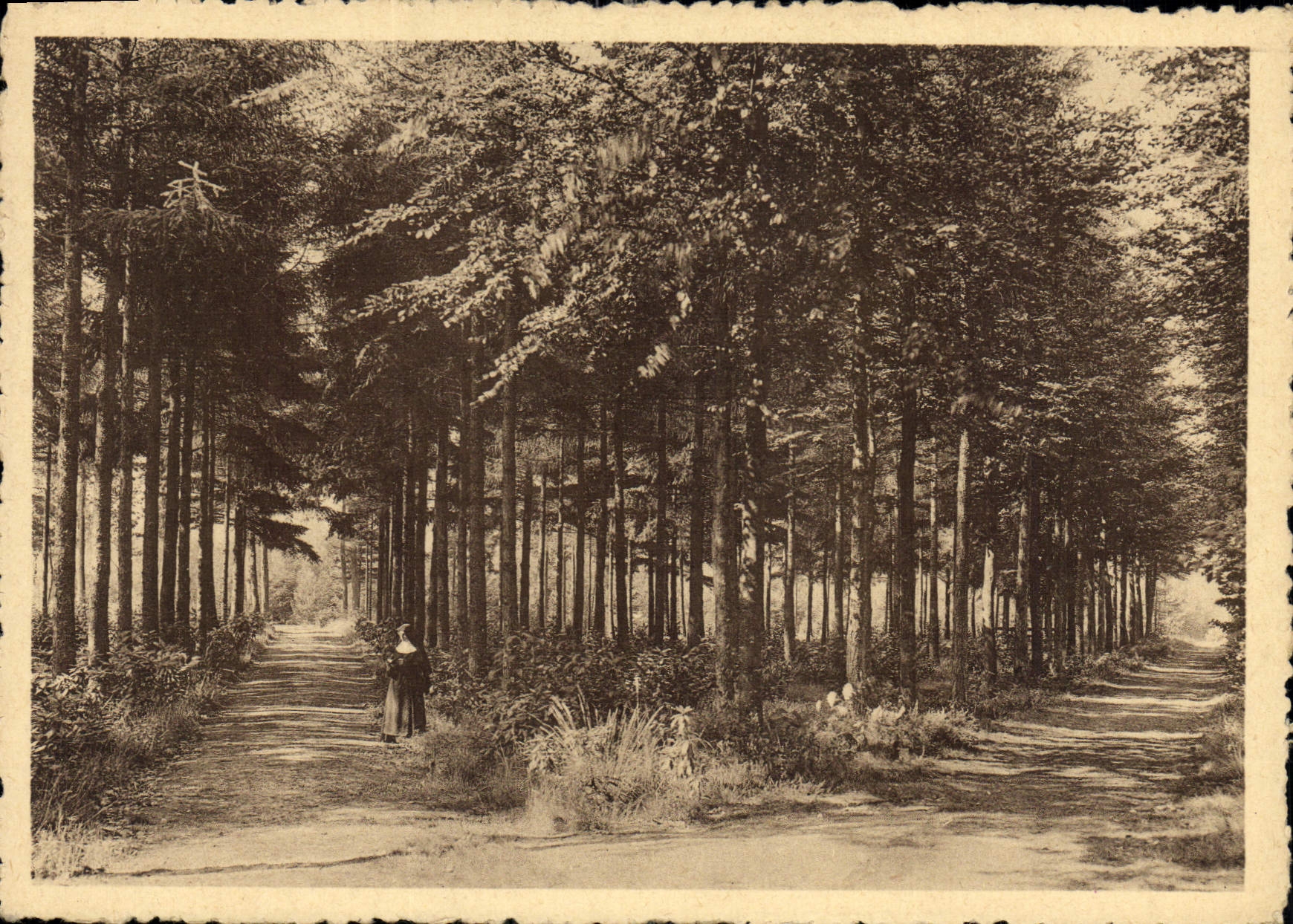 CPM Monastere N D de Bethanie Lophem lez Bruges les allees du jardin 