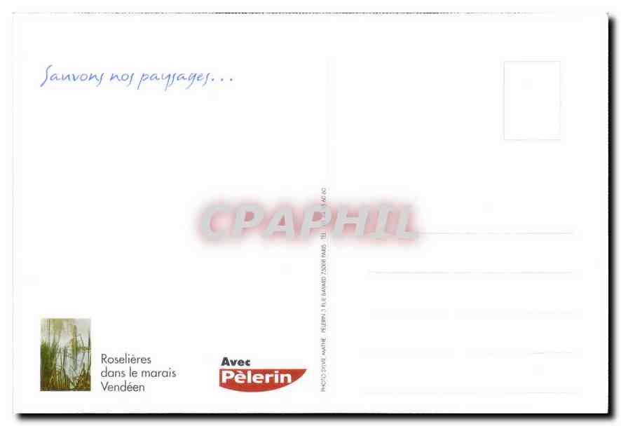 CPM Sauvons nos paysages Roselieres dans le marais Vendeen  — Verso