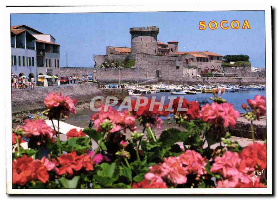 CPM Couleurs et lumiere de France Socoa Pyrenees Atlantique le Fort et e Port 