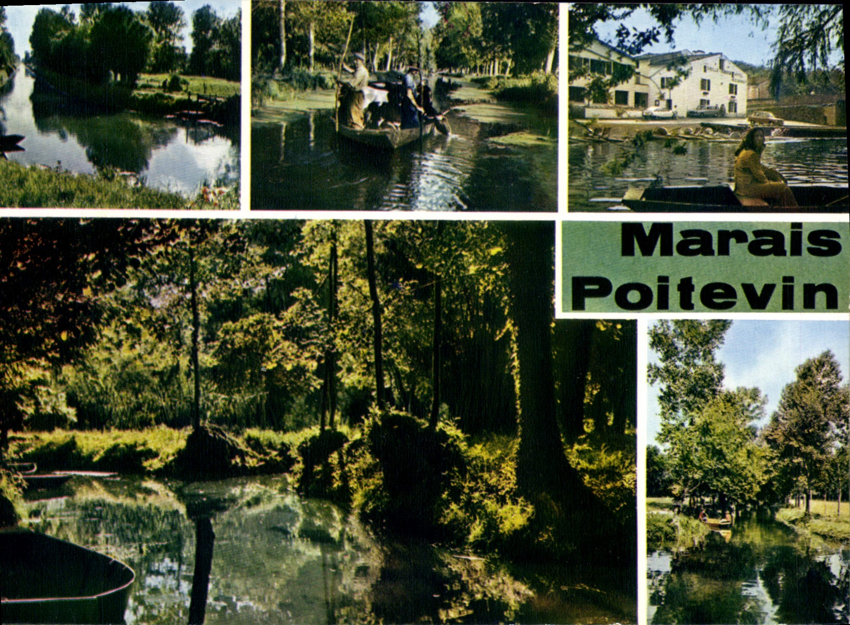 CPM Le Marais Poitevin Cathedrale de Verdure 