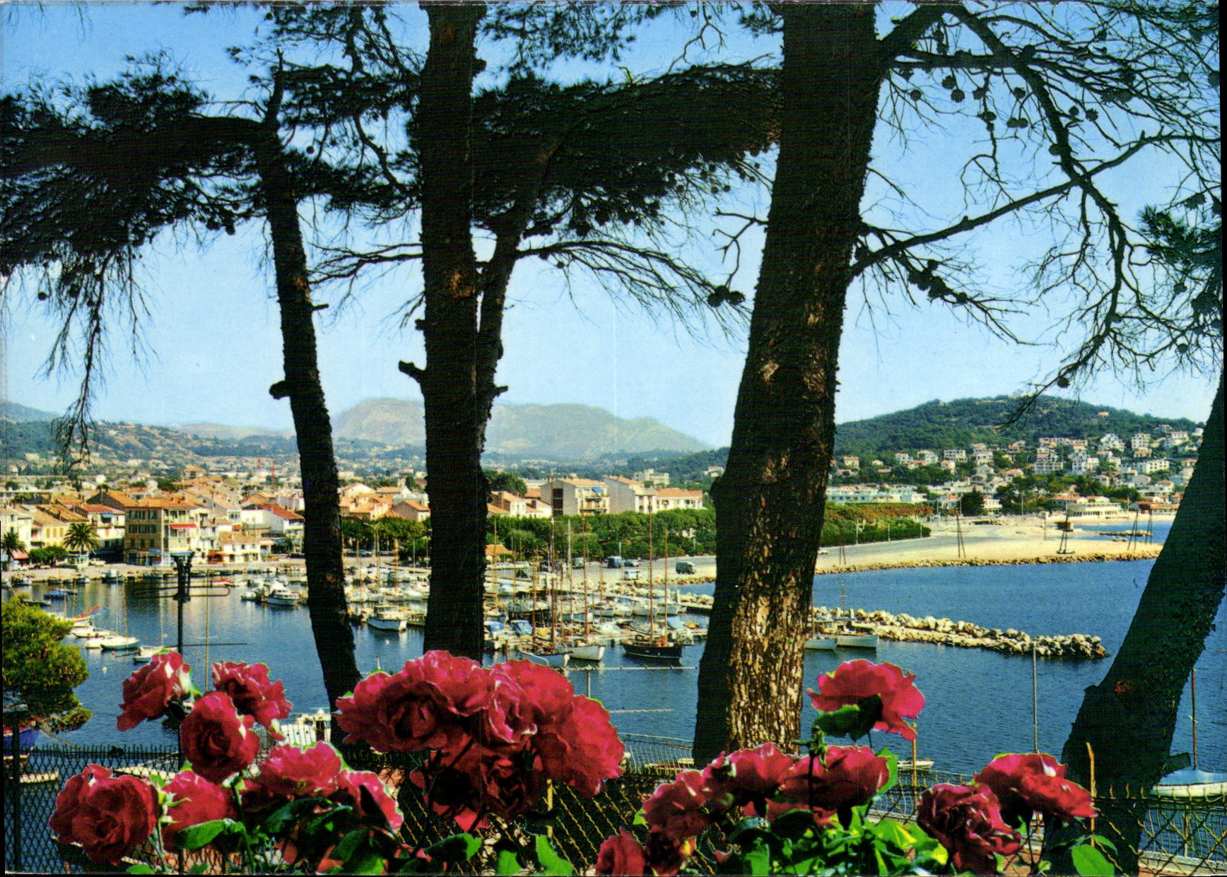 Sanary-sur-Mer — Perspective sur le port — Édition Y.P.A. n°85