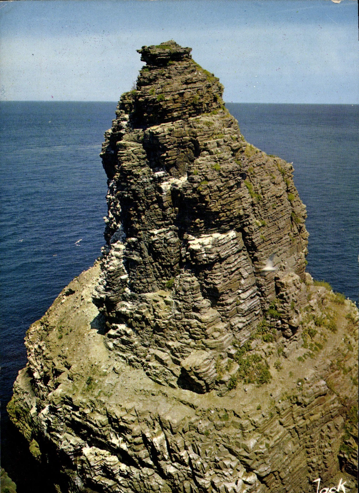 CPM Couleurs de Bretagne Le Cap Frehel la grande Fauconniere reserve d'oiseaux de mer 