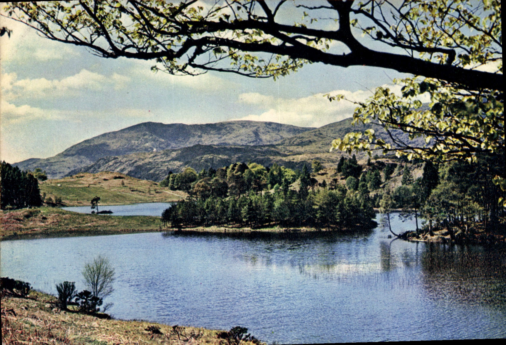CPM Tarn Hows looking towards Coniston Fells 