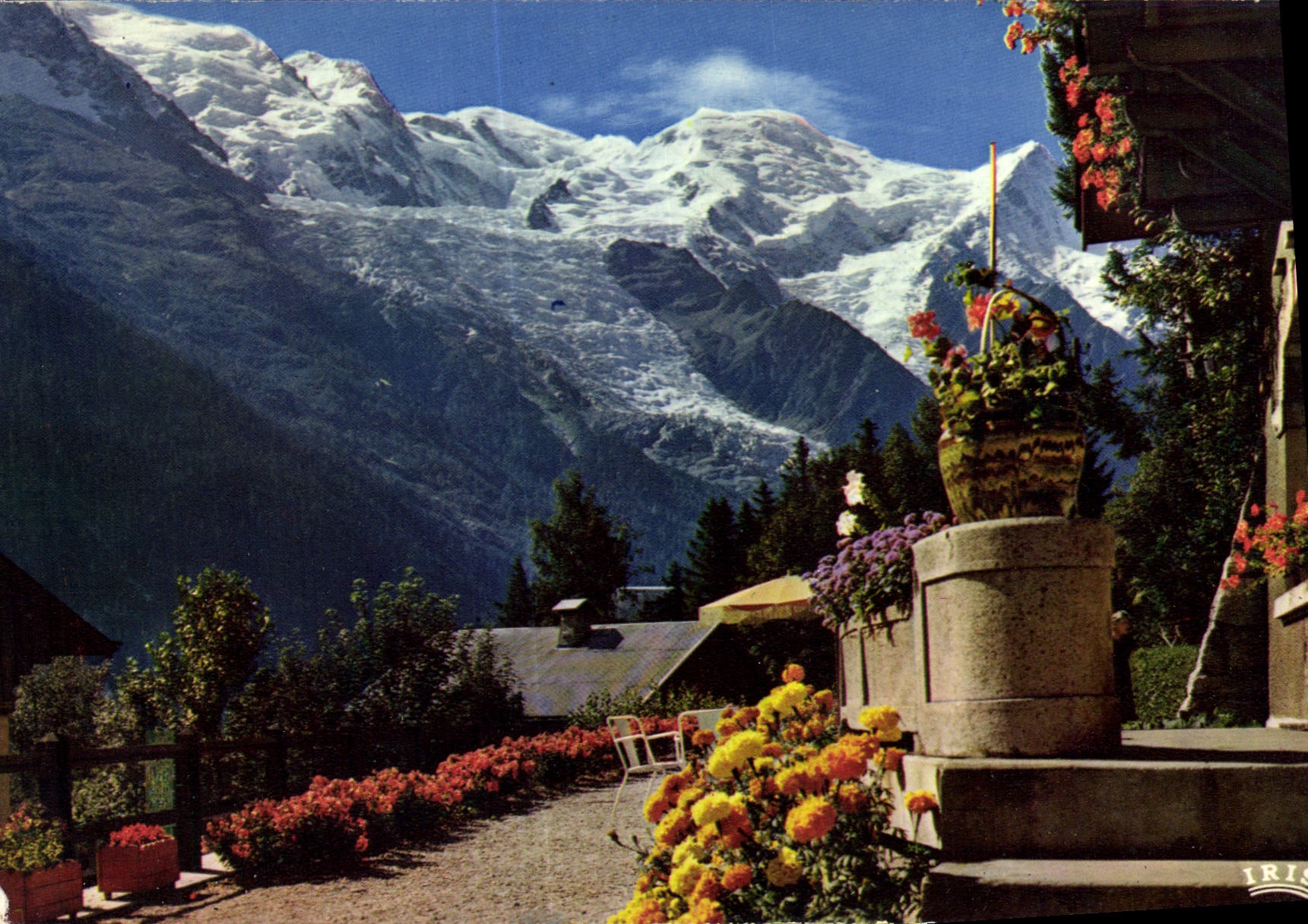 CPM Chamonix Mont Blanc l'aiguille du Gouter le Mont Blanc et le glacier des Bossons 