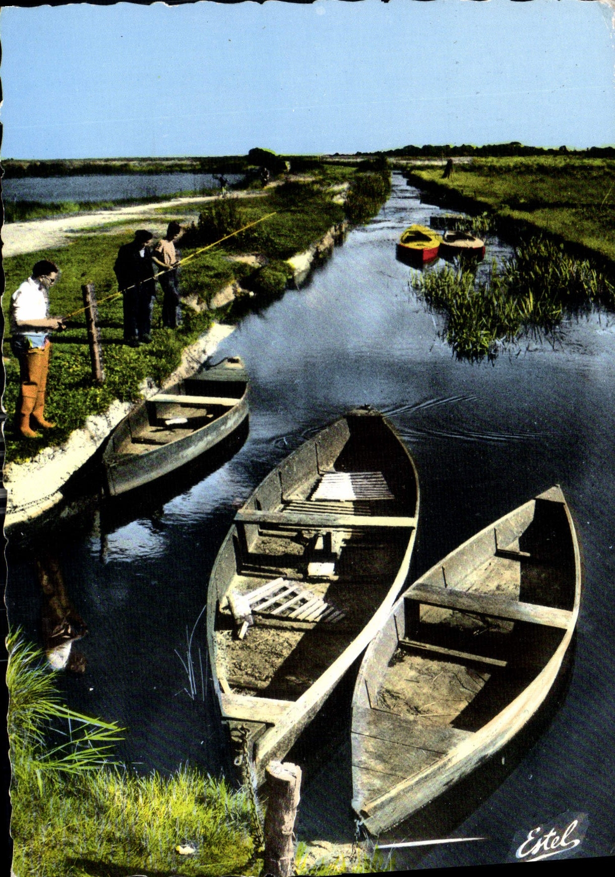 CPM La Briere Loire Atlantique Paysage 