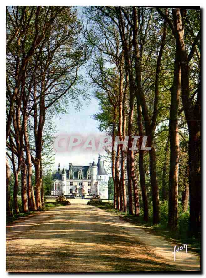 CPM Couleurs et Lumiere de France le Val de Loire Chenonceaux Magnifique allee conduisant au Chateau