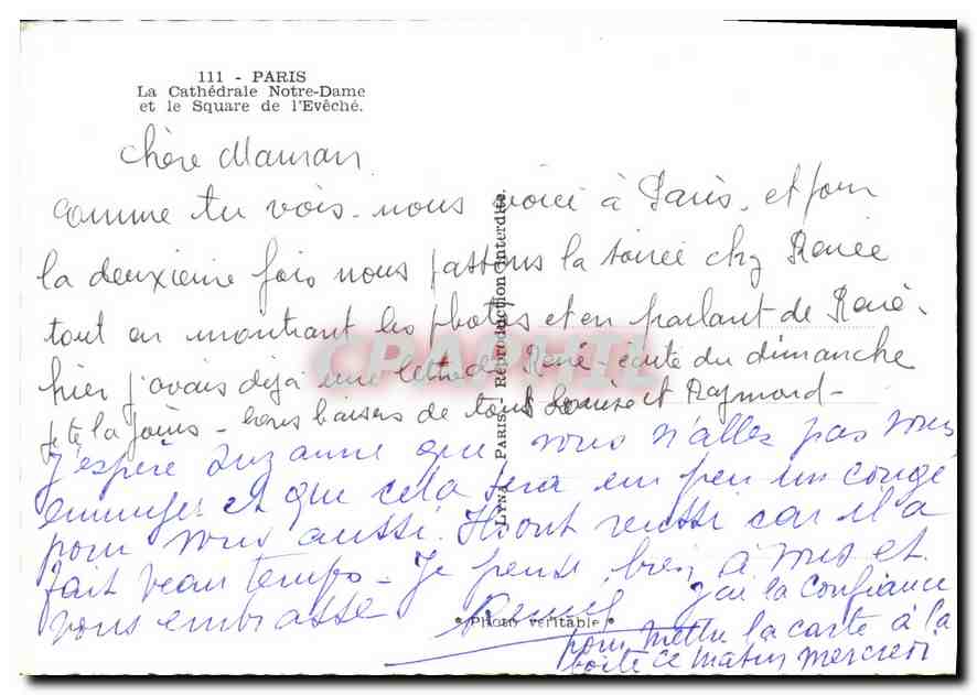 CPM Paris La Cathedrale Notre Dame et le Square de l'Eveche  — Verso