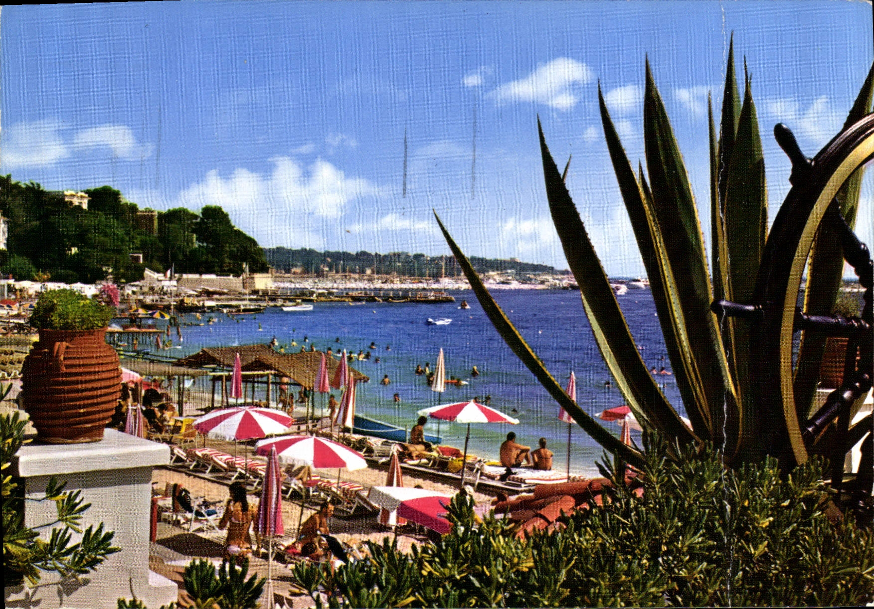 CPM Juan les Pins Vue sur le Port de Plaisance prise de la terrasse du Casino Municipal Dans le fond