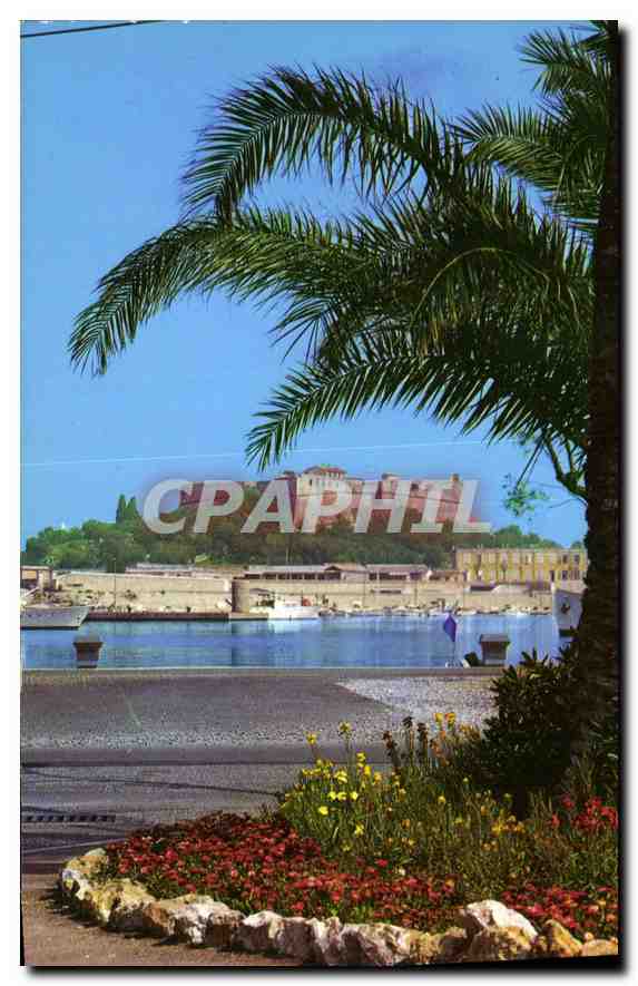 CPM Antibes Un coin du nouveau Port et le Fort Carre 