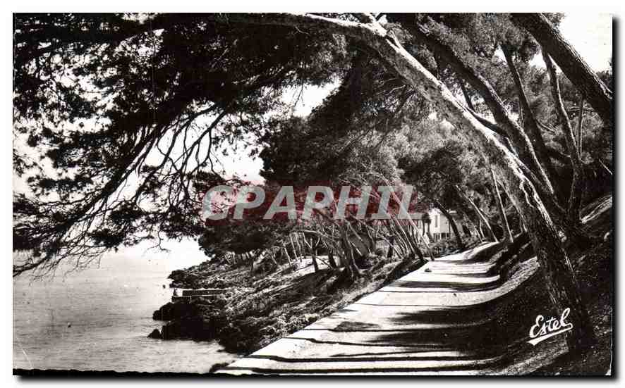 CPM Menton Carnoles La Promenade du Cap Martin 