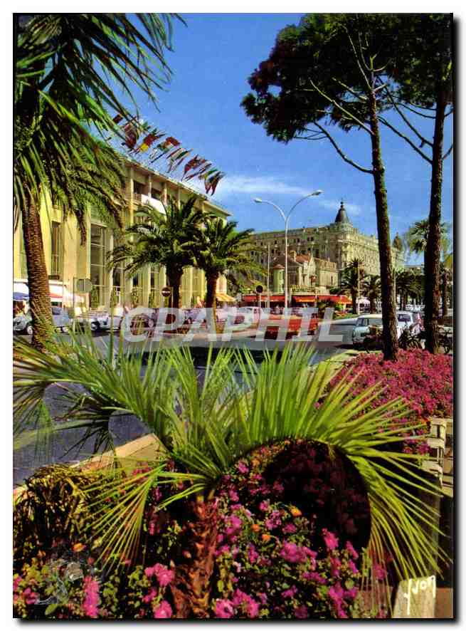 CPM Cannes Alpes Maritimes La Croisette le Palais du Festival et le Carlton 