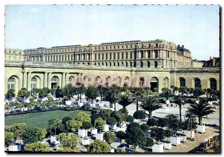 CPM Palais de Versailles Le Chateau et l'Orangerie 