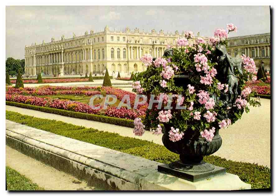CPM Versailles Le Chateau et le Parterre Sud 