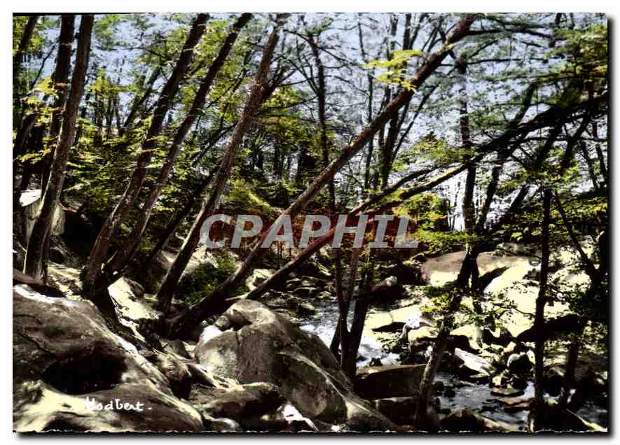 Hodbert — Vue de la gorge de la Chevreuse — Éditions de Massy - Recto